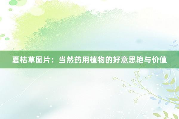 夏枯草图片:当然药用植物的好意思艳与价值